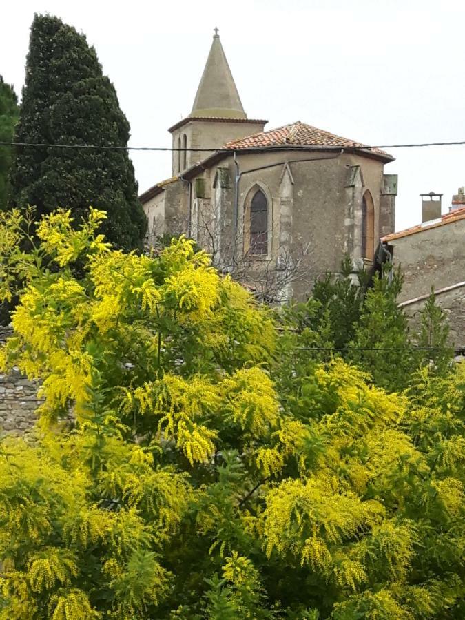 La Vigne Des Heures Claires Saint-Nazaire-d'Aude Zewnętrze zdjęcie